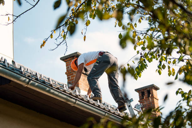 Best Gutter Installation and Repair  in Edmore, MI