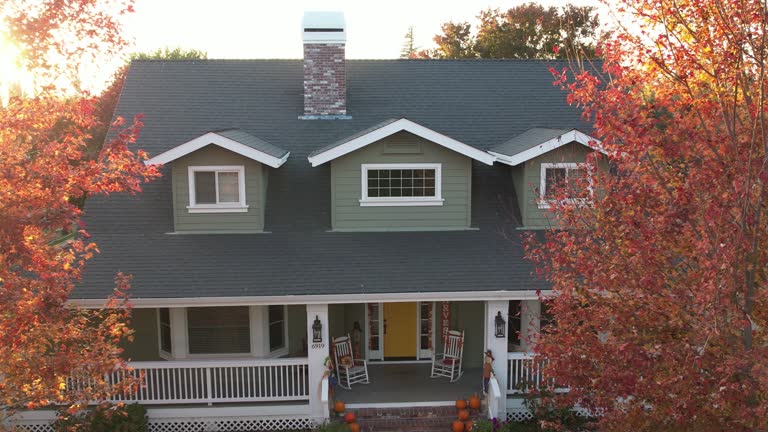 Best Skylight Installation and Repair  in Edmore, MI