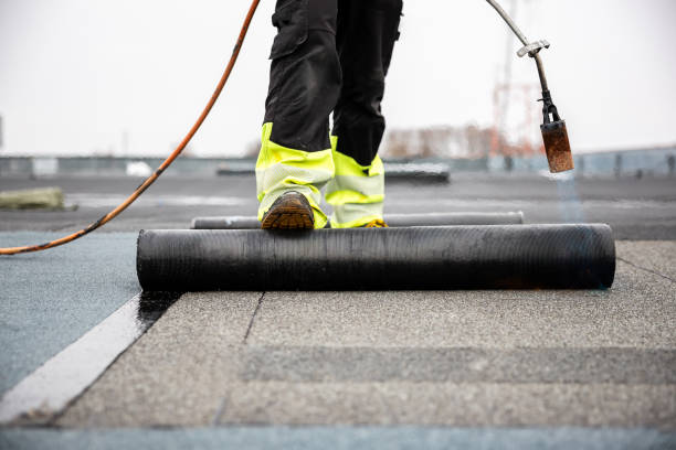 Best Emergency Roof Repair Services  in Edmore, MI