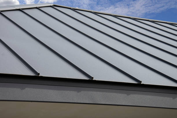 Best Storm Damage Roof Repair  in Edmore, MI