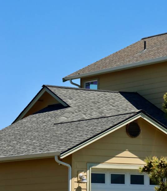 Best Roof Leak Repair  in Edmore, MI